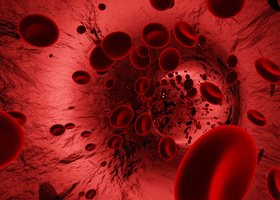 vecteezy_red-blood-cells-in-an-artery-or-blood-vessel-flow-inside_6667101.jpg