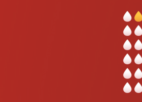 1000x200 website opt 2.png