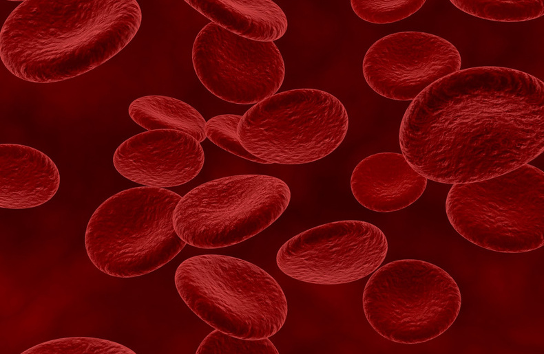 Bleeding Disorders: World Haemophilia Day March 6, 2023 