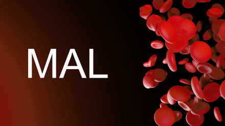 MAL.jpg