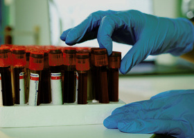 pexels-artempodrez-8533143.jpg 1