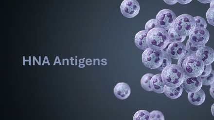 hna_antigen_banner.jpg