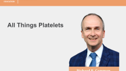 Website Banner 250x180 (Thumbnail) (1) (1).png