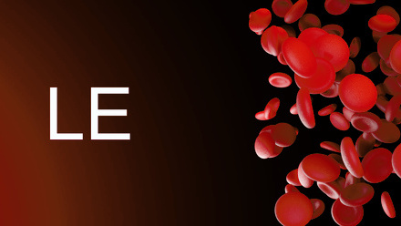 LE.jpg