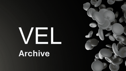 VEL.jpg