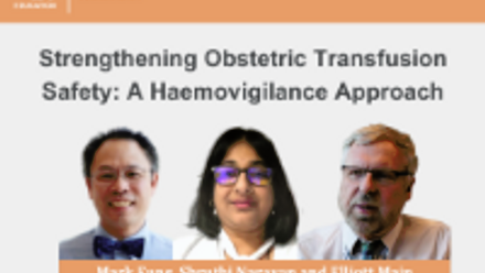 Website Banner 250x180 (Thumbnail) (5).png 2