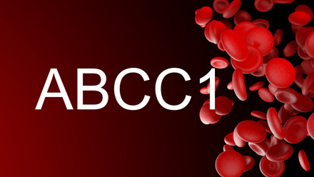 ABCC1.jpg