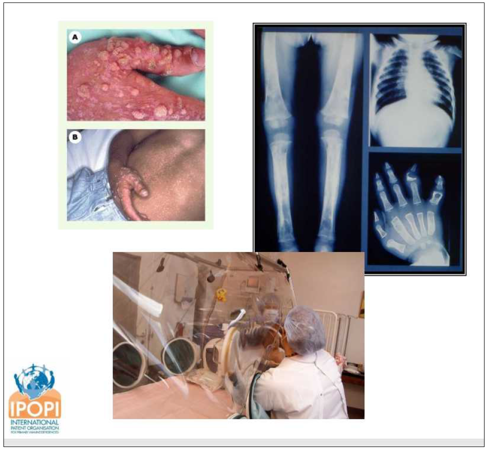 Figure 2.png