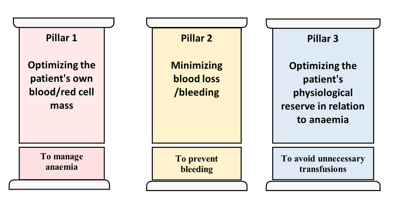 multimodal approach three pillars