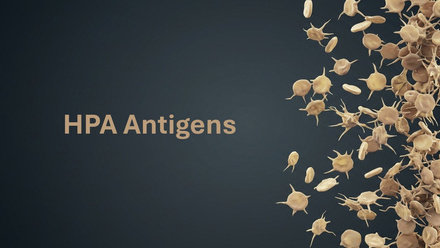HPA_antigens_banner.jpg